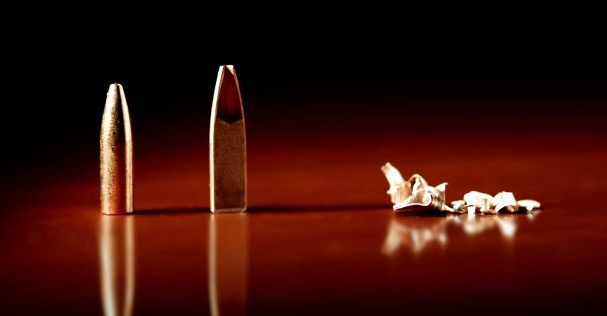 Varmint Grenade Bullet Close Up