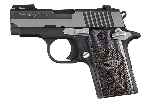 SIG P238 | A Complete Look at the SIG Sauer .380 ACP Pistol